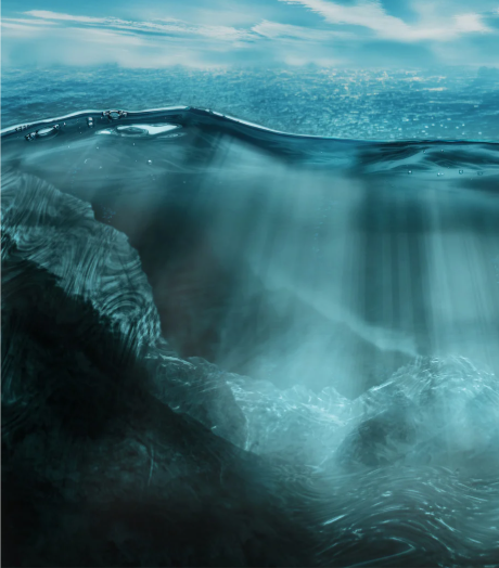 Cuantic Vision